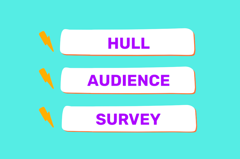 Hull Audience Survey